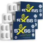 Sx66